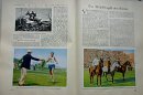 Olympia 1932 - Die Olympischen Spiele 1932 - Einzel-Exponat